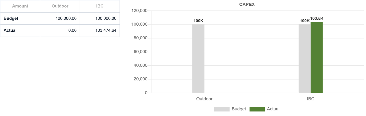CAPEX budget vs actual